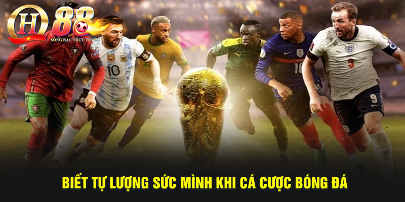 Mẹo Cá Cược Bóng Đá Hiệu Quả Từ Các Chuyên Gia QH88