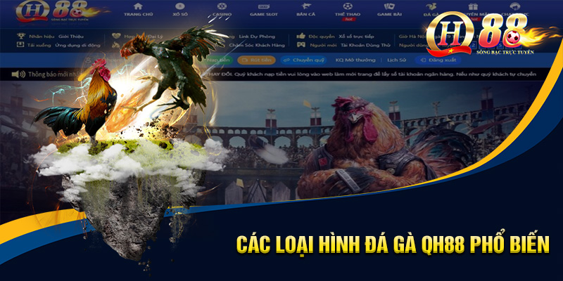 Đá Gà QH88 - Sân Chơi Trực Tuyến Hấp Dẫn, Hội Tụ Chiến Kê