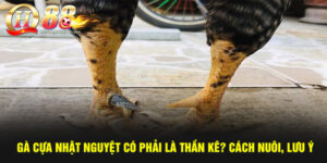 Kinh Nghiệm Cá Cược