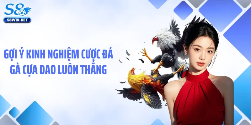 Đá Gà Cựa Dao Tại S8 - Chiêm Ngưỡng Trận Chiến Tốc Độ Nghẹt Thở