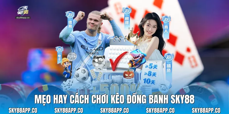 Cách Chơi Kèo Đồng Banh Bí Quyết Thắng Lớn Tại Sky88 - SKY88