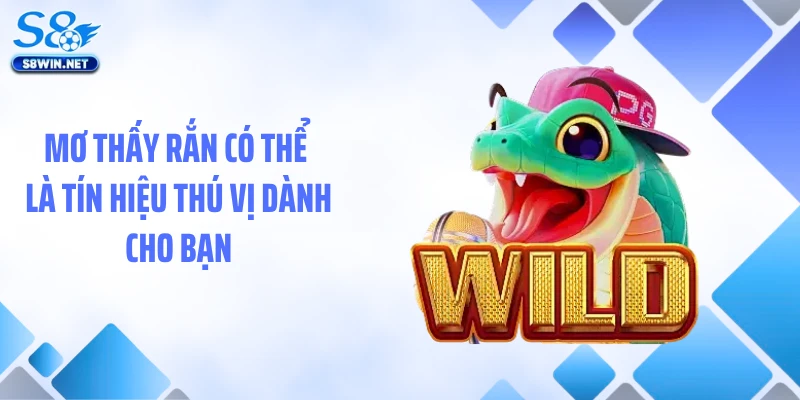 Mơ Thấy Rắn Và Bí Ẩn Thú Vị Đằng Sau Giấc Mơ Đáng Sợ