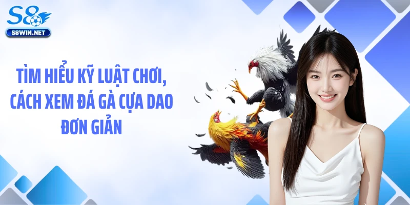 Đá Gà Cựa Dao Tại S8 - Chiêm Ngưỡng Trận Chiến Tốc Độ Nghẹt Thở