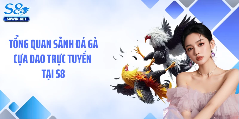 Đá Gà Cựa Dao Tại S8 - Chiêm Ngưỡng Trận Chiến Tốc Độ Nghẹt Thở