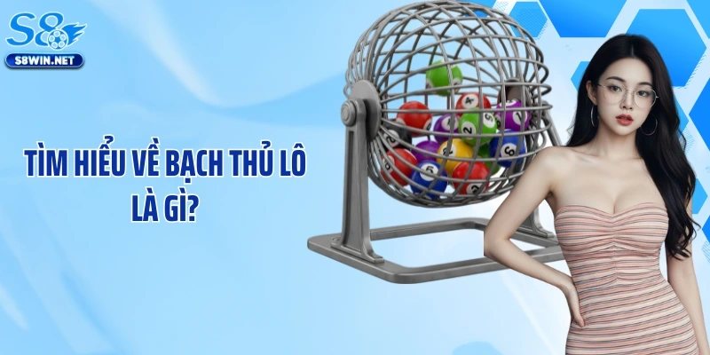 Bạch Thủ Lô Là Gì? Những Bí Quyết Săn Thưởng Lớn Tại S8